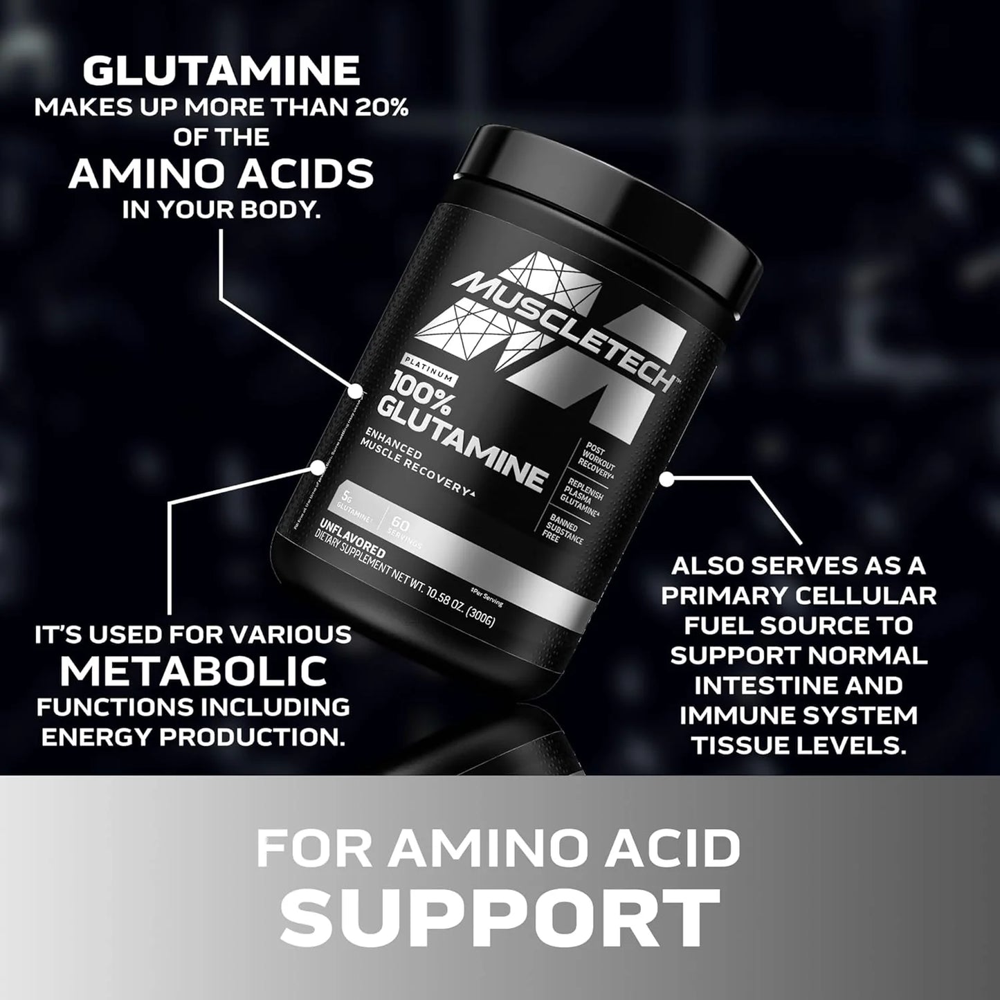 Muscletech 100% L-Glutamine Powder for Enhanced Muscle Recovery - Pure L Glutamine Muscle Growth Builder & Energy Boosting Nutritional Supplement for Men & Women - Unflavored, 60 Servings